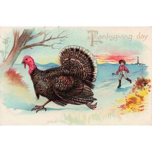 Thanksgiving Tuck Series 123 Postcard Turkey Running Boy with Hatchet 1907